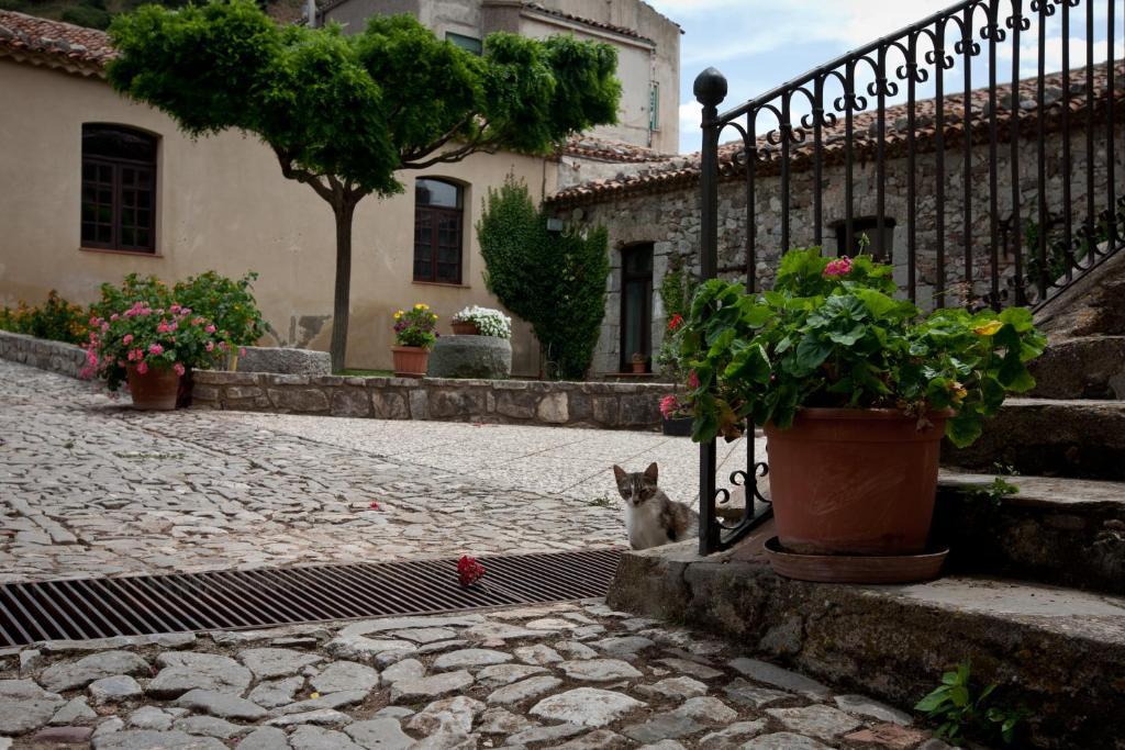 Il Vecchio Frantoio Villa Scillato  Exterior photo